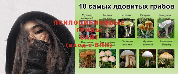 эйфоретик Алексин