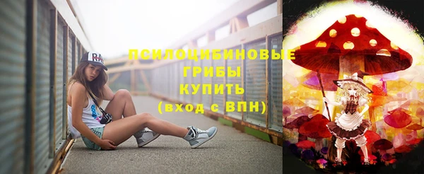 эйфоретик Алексин
